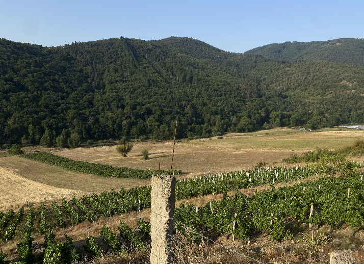 parcelle du domaine d'Auvat