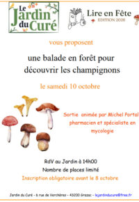 Balade en forêt pour découvrir les champignons